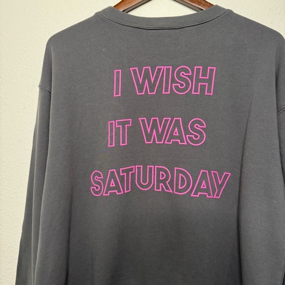 Wildfox I Wish It Was Saturday Grey pinstripe sweatshirt size L NWT $108 - Picture 9 of 10